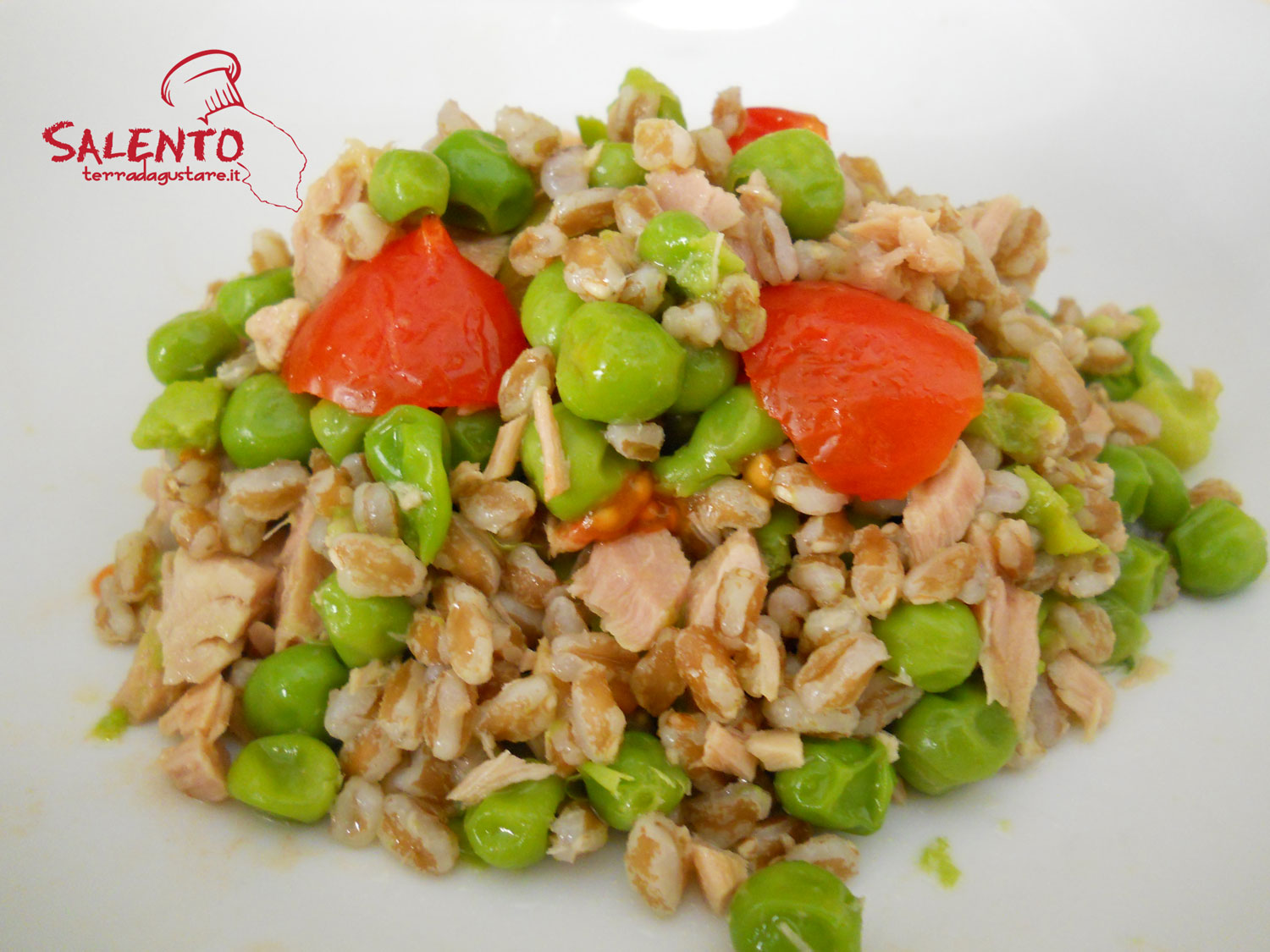 insalata di farro fredda